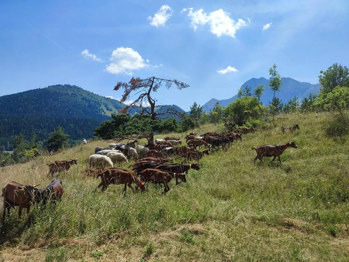 Appartement Les Cimes Gresse-en-Vercors
